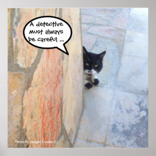 Affiches CHAT DÉTECTIVE DERRIÈRE LE MUR DE PIERRE / Fête de