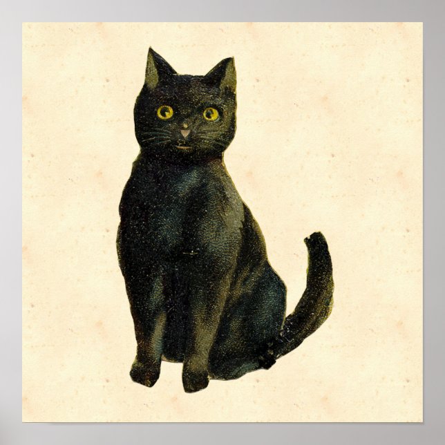 Affiches Chat d'Halloween vintage (Devant)