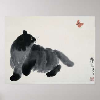 Affiches Chat et papillon