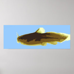 Affiches Chat-fou tête de têtard
