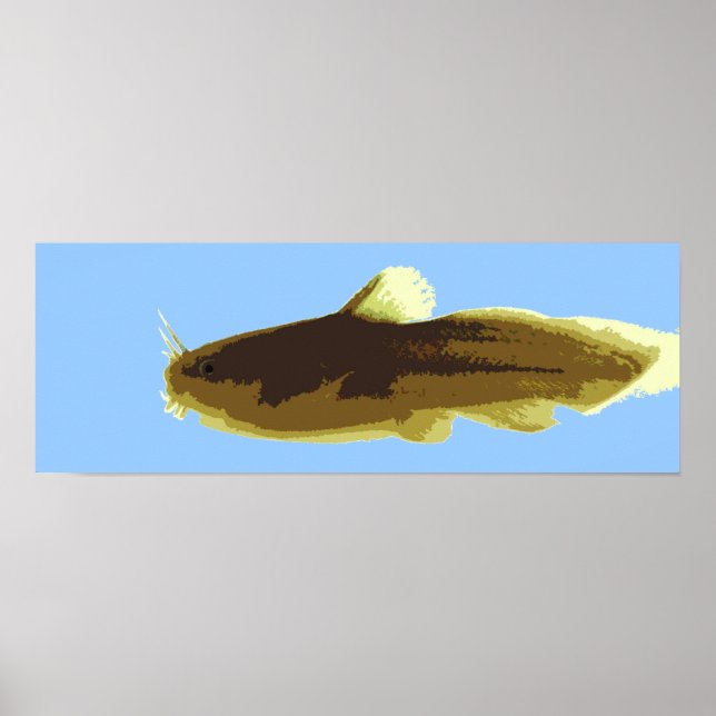 Affiches Chat-fou tête de têtard (Devant)