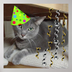 Affiches Chat gris fête d'anniversaire