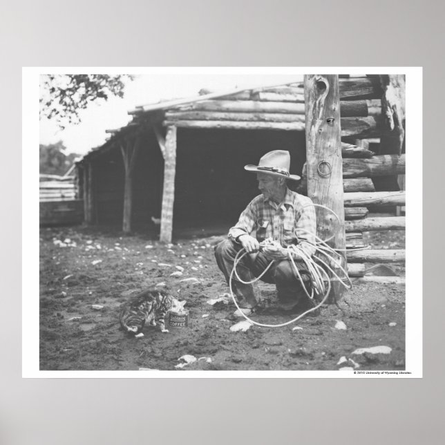 Affiches Chat mangeant dans une boîte de café. (Devant)