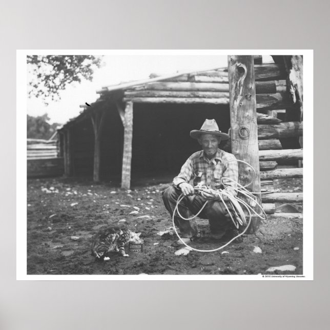 Affiches Chat mangeant dans une boîte de café (Devant)
