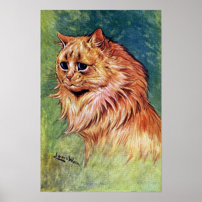 Affiches Chat Marmalade aux yeux bleus (Devant)