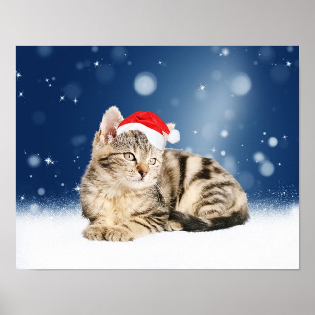 Affiches Chat mignon portant chapeau de Noël rouge neige (Devant)