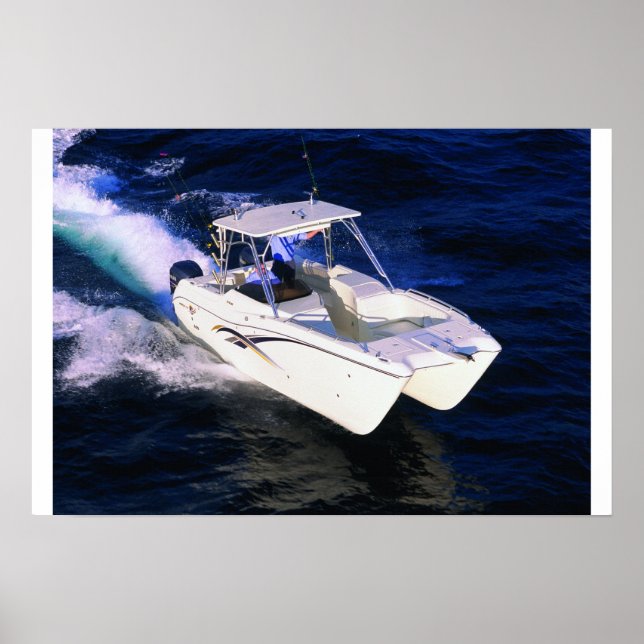 Affiches Chat mondial 250DC (Devant)