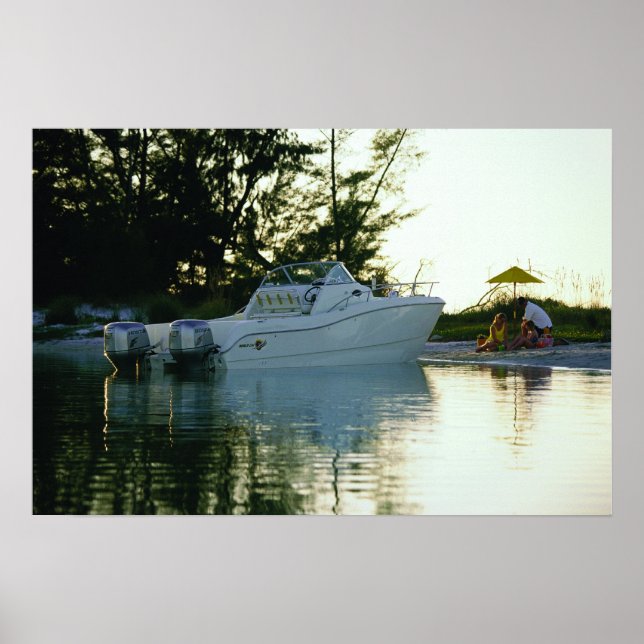 Affiches Chat mondial 270SC (Devant)