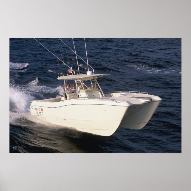 Affiches Chat mondial 330TE (Devant)