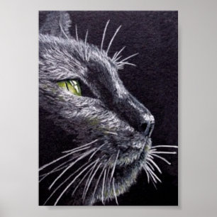Affiches Chat noir