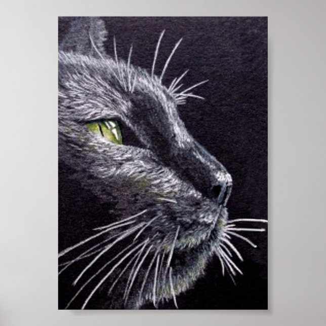 Affiches Chat noir (Devant)