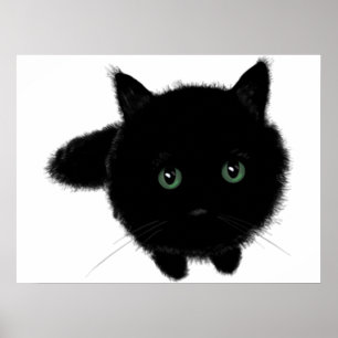 Affiches Chat noir