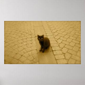 Affiches Chat Noir À Sepia