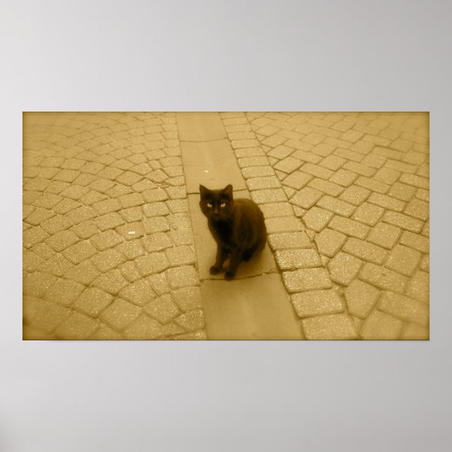 Affiches Chat Noir À Sepia (Devant)
