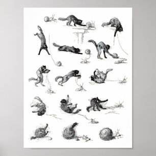 Affiches Chat noir & Boule en laine, Alexandre Steinlen