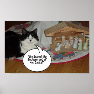 Affiches Chat noir et blanc de Noël
