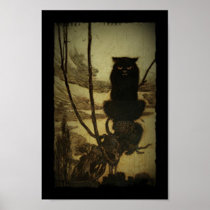 Affiches Chat noir Scowling