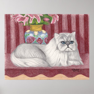 Affiches Chat persan