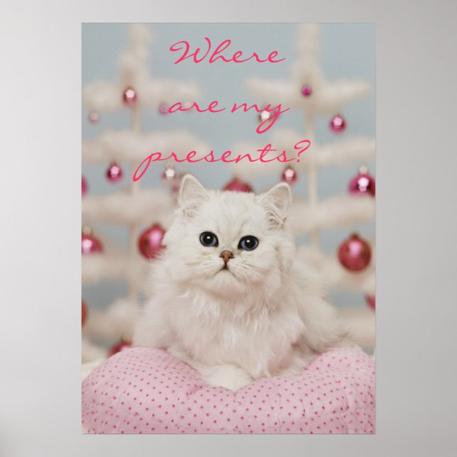 Affiches Chat perse assis sur un coussin rose (Devant)