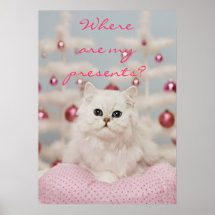 Affiches Chat perse assis sur un coussin rose