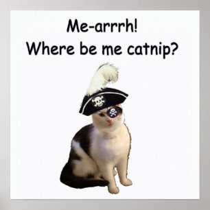 Affiches Chat pirate