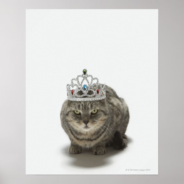 Affiches Chat portant une tiara (Devant)