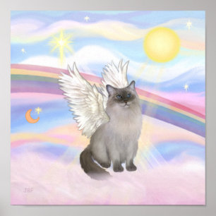 Affiches Chat Ragdoll (Blue Point) Ange - Nuages