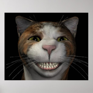 Affiches Chat souriant