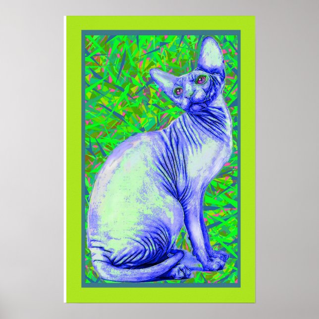 Affiches chat sphynx (Devant)