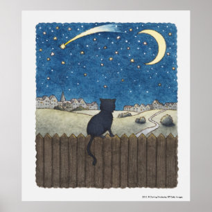 Affiches Chat sur une clôture regardant le ciel nocturne au