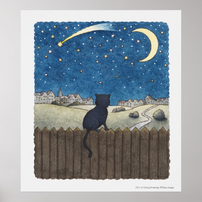 Affiches Chat sur une clôture regardant le ciel nocturne au (Devant)