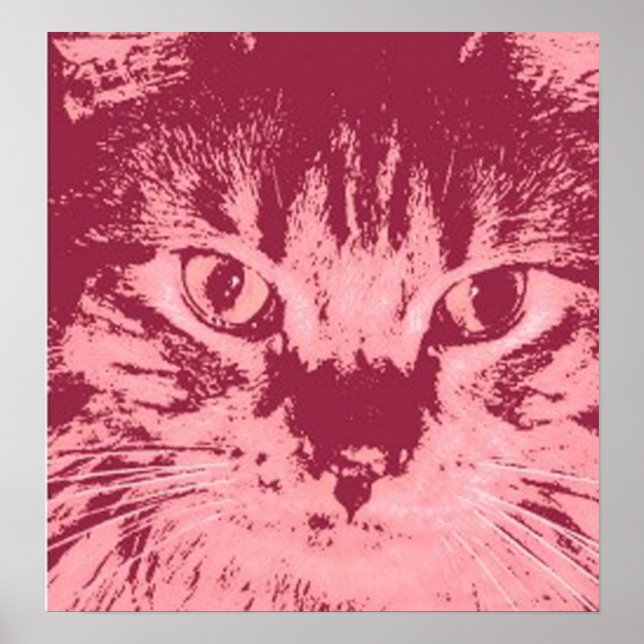 Affiches Chat Tabby Orange (Devant)