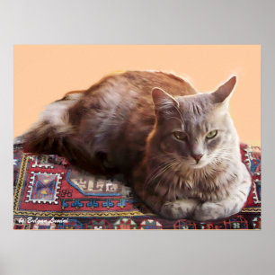 AFFICHES CHAT TURC SUR LE VIEUX TAPIS