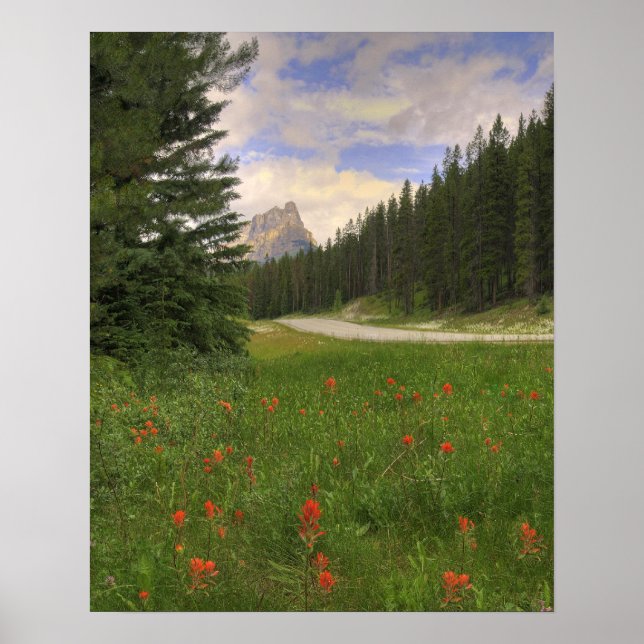 Affiches Château Mountain Banff (Devant)