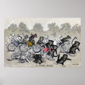 Affiches Chats à vélo