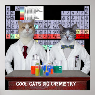 Affiches Chats cool Chimie de la fouille