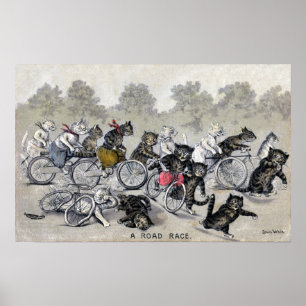 Affiches Chats d'équitation de bicyclette