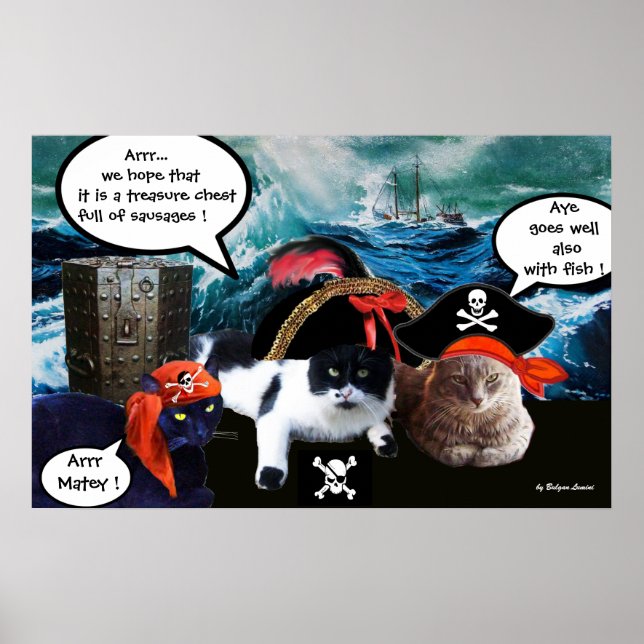 AFFICHES CHATS PIRATES PARLANT ET NAVIRE DANS LA TEMPÊTE EN (Devant)