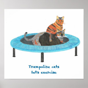Affiches Chats sur mini trampoline, Affichons l'exercice