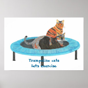 Affiches Chats sur mini trampoline, faisons de l'exercice A
