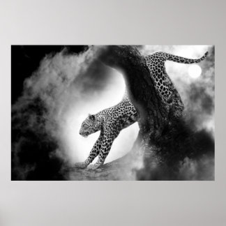 Affiches chatte sauvage cheetah sur l'affiche de chasse