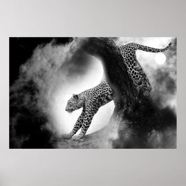 Affiches chatte sauvage cheetah sur l'affiche de chasse (Devant)