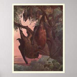 Affiches Chauve-souris vintage Painting (1909)