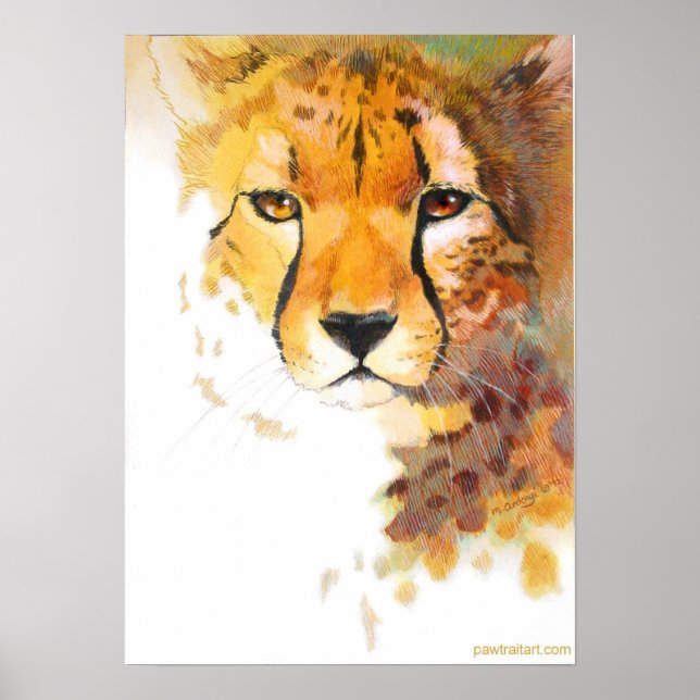 Affiches Cheetah ! (Devant)