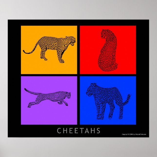 Affiches Cheetah coloré (Devant)