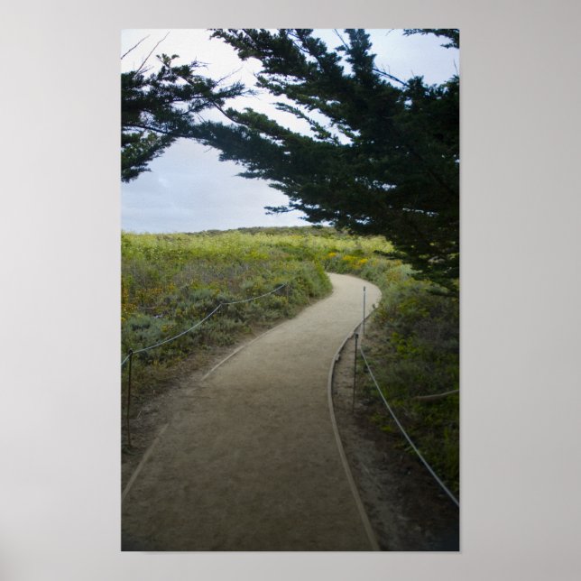 Affiches Chemin (Devant)