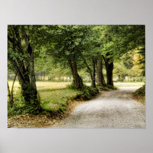 Affiches Chemin dans le pays