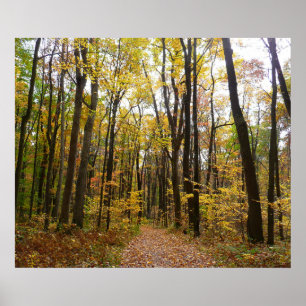 Affiches Chemin d'automne et Feuilles d'or au parc Laurel H