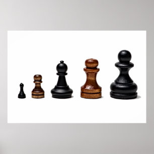 Affiches Chemin de carrière