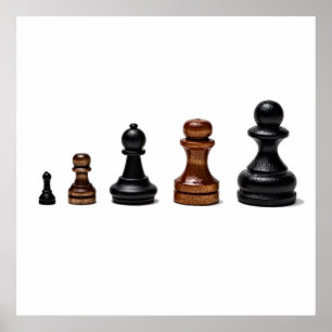 Affiches Chemin de carrière